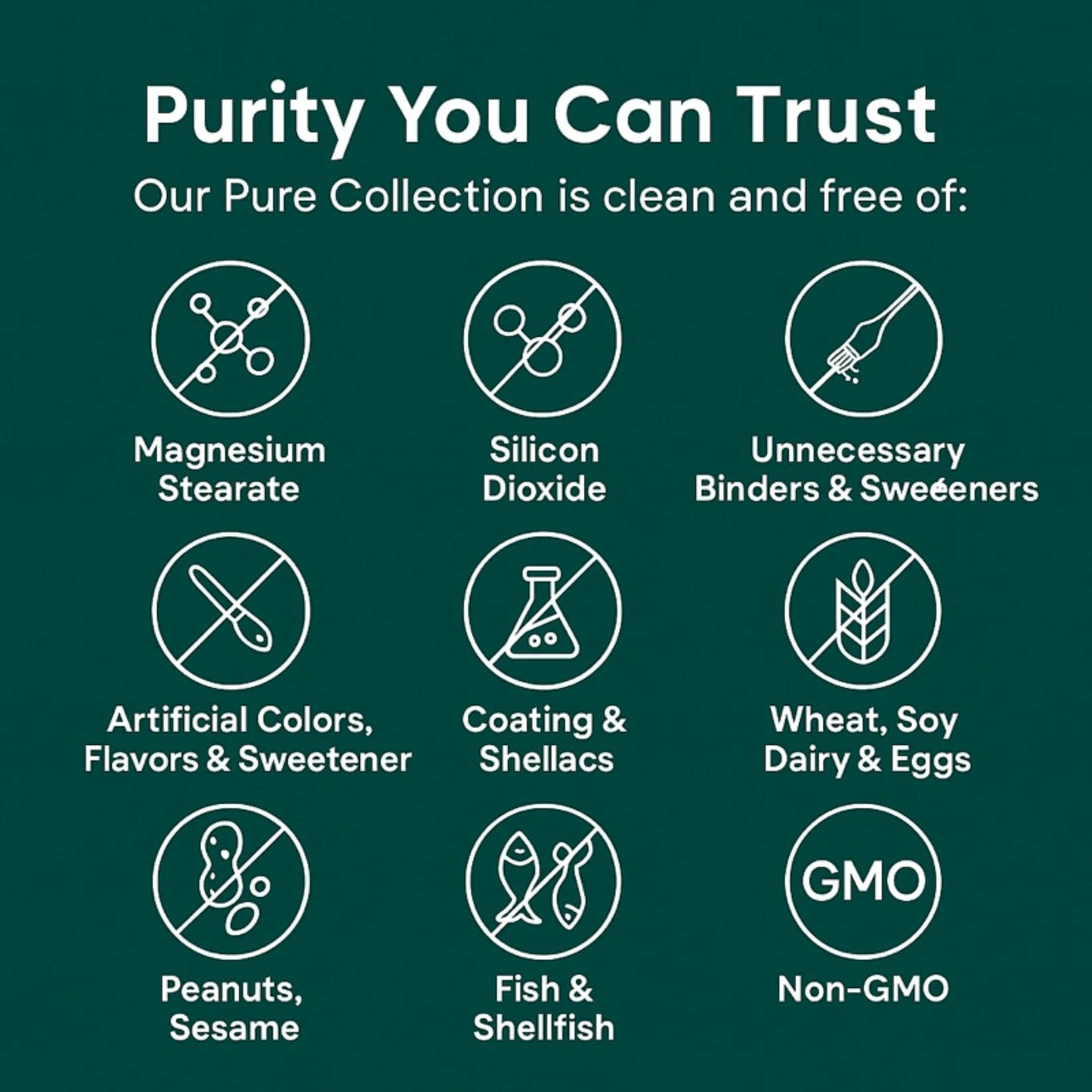 Turmeric Curcumin Capsules (1,000mg)